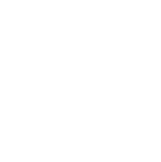 https://whipshots.com/cdn/shop/files/Whipshots_logo_FINAL_PMS728_TM_white-5.png?v=1666811231&width=320